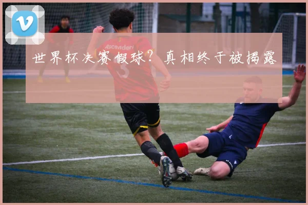 世界杯决赛假球？真相终于被揭露