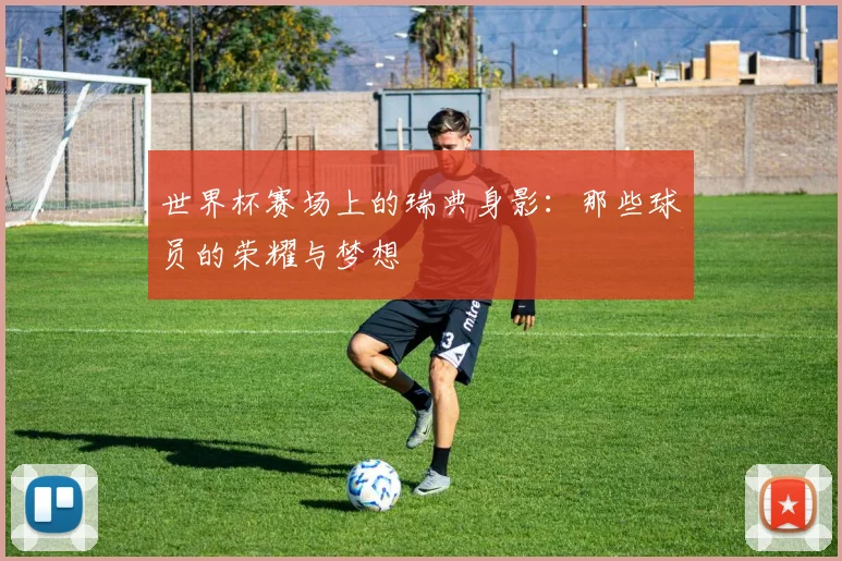 世界杯赛场上的瑞典身影：那些球员的荣耀与梦想
