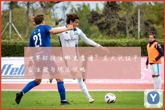 世界杯投注哪里靠谱?五大认证平台注册与玩法攻略