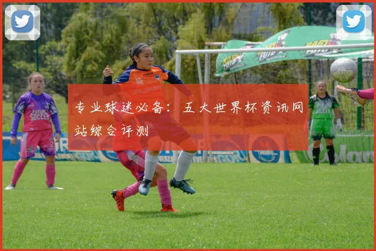 专业球迷必备:五大世界杯资讯网站综合评测