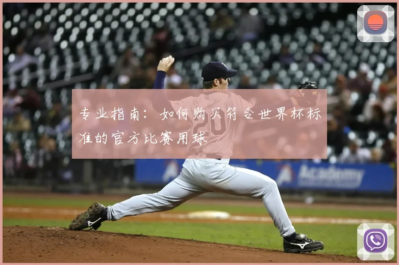 专业指南:如何购买符合世界杯标准的官方比赛用球