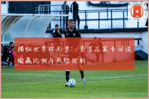 揭秘世界杯彩票：资深庄家专访谈输赢比例与风险控制