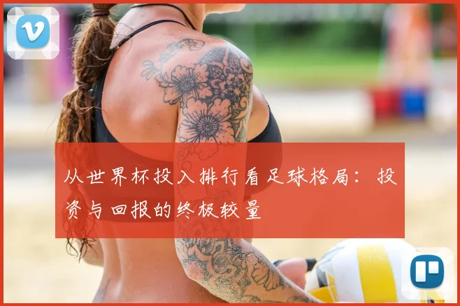 从世界杯投入排行看足球格局：投资与回报的终极较量