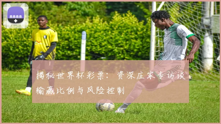 揭秘世界杯彩票：资深庄家专访谈输赢比例与风险控制