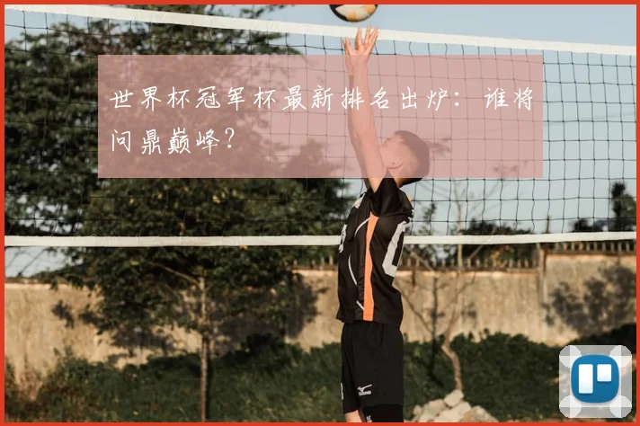 世界杯冠军杯最新排名出炉:谁将问鼎巅峰?