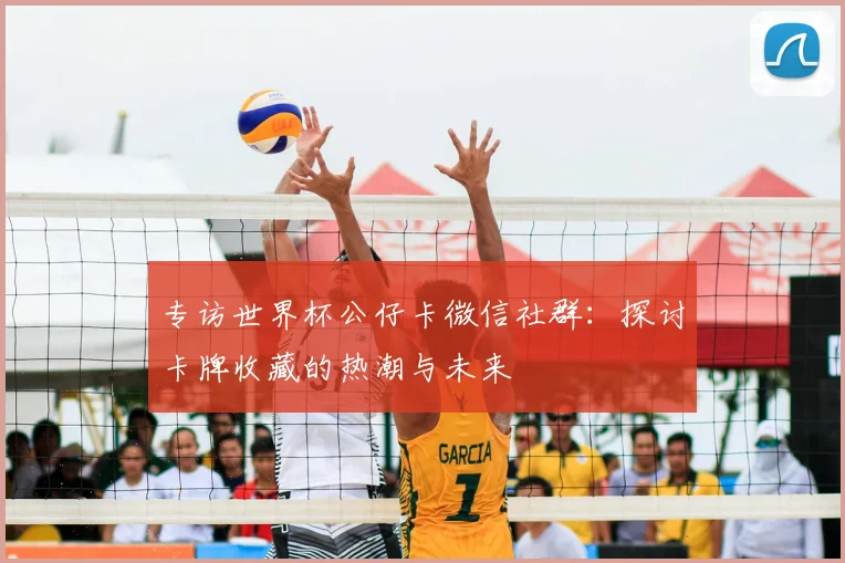 专访世界杯公仔卡微信社群:探讨卡牌收藏的热潮与未来