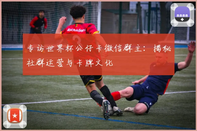 专访世界杯公仔卡微信群主:揭秘社群运营与卡牌文化