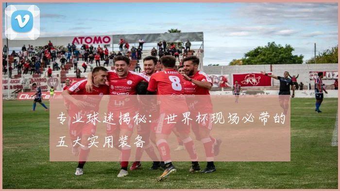 专业球迷揭秘:世界杯现场必带的五大实用装备