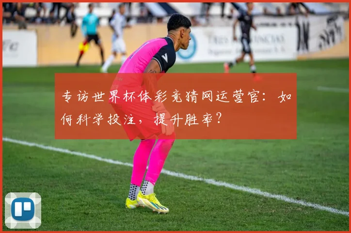 专访世界杯体彩竞猜网运营官:如何科学投注,提升胜率?